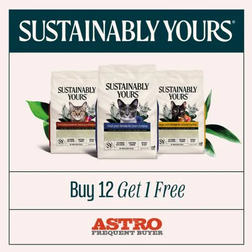 Promotion Image