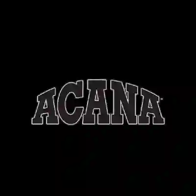 Image Alternative Text