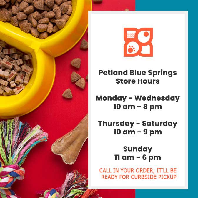 Welcome to Petland Blue Springs